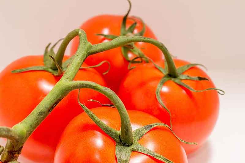 Tomat makanan yang baik untuk kesehatan mata
